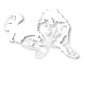 husky 