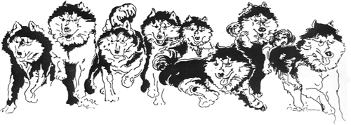 Huskies 